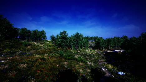 beautiful-valley-with-green-trees