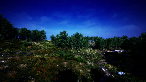 beautiful valley with green trees