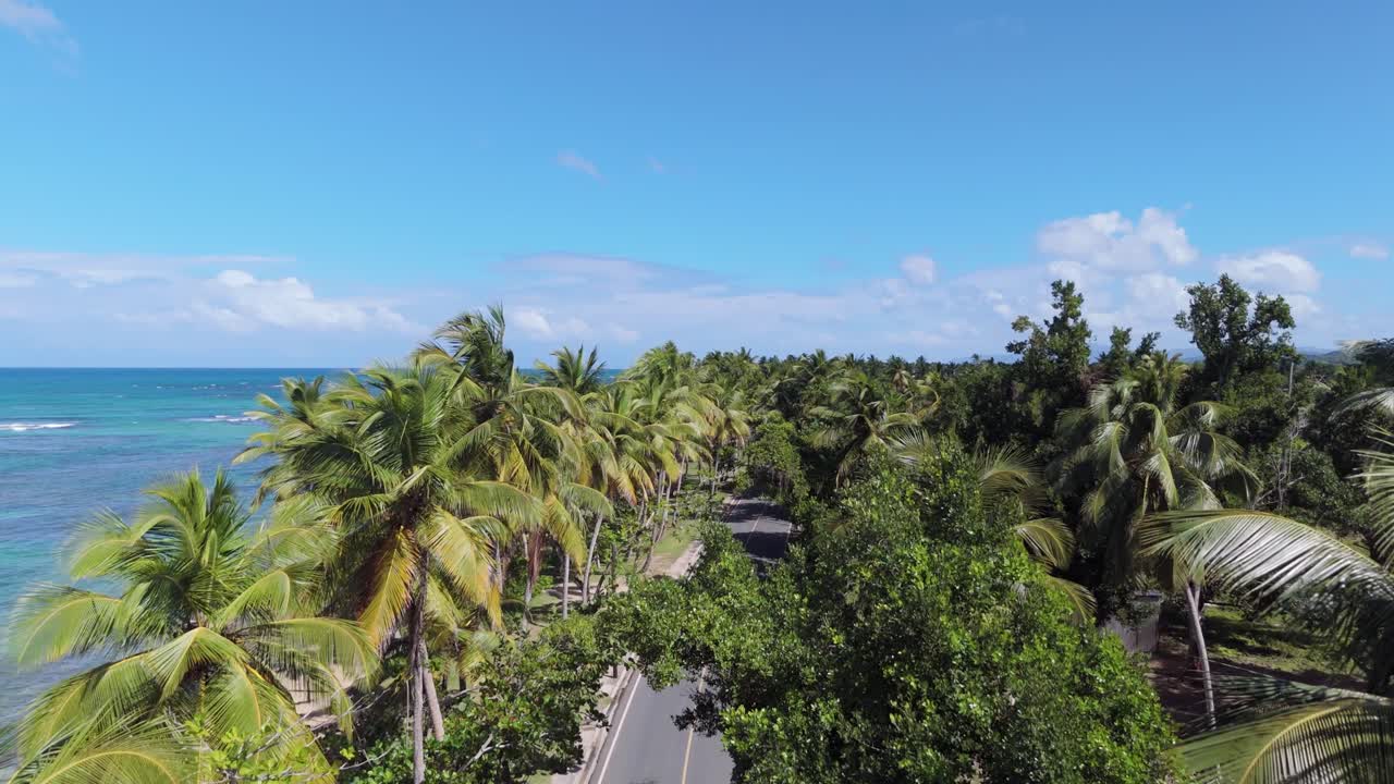 Coastal Road Between The Towering Palm Trees In Summer In Playa el Portillo, Las Terrenas, Samana Peninsula, Dominican Republic. - aerial shot