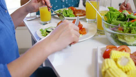 Familia-Comiendo-Durante-La-Pausa-Del-Almuerzo-