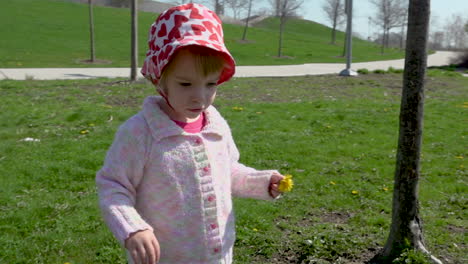 cute toddler girl picking dandelions in a park