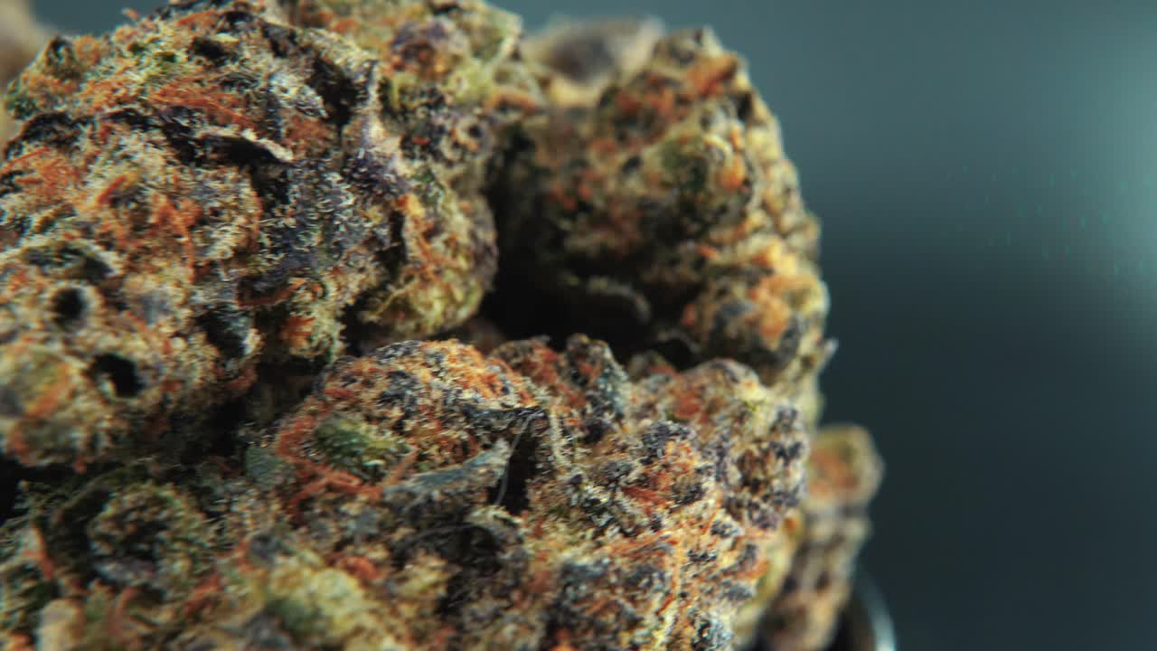 A macro cinematic crispy shot of a cannabis plant, orange hybrid strains, Indica and sativa, dark purple marijuana flower in a Lab, on a rotating stand, slow motion, 4K, professional studio lighting