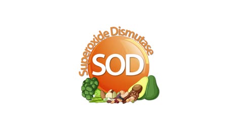 animated sequence highlights the sod enzyme acronym with surrounding healthy foods, using smooth transitions, bright lighting, and a clean white background