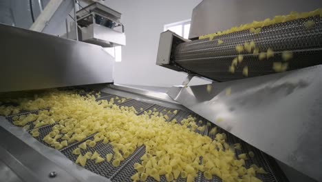 production factory line moves potato snackes. production line of the pasta factory, pasta production