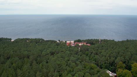 aerial view of blend of baltic coastline and lush green trees at stegna