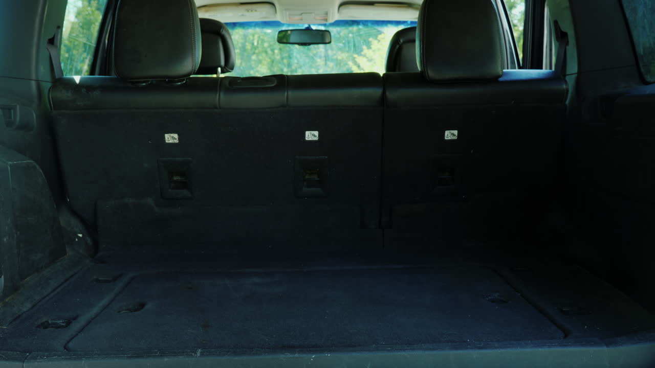 un hombre pone una jaula con cachorros en el maletero de un coche transporte y entrega de animales vivos