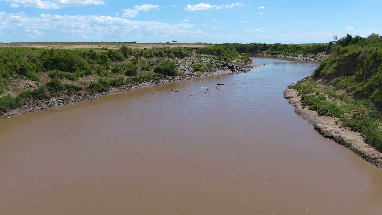 antena de hipopótamo en río africano en serengeti