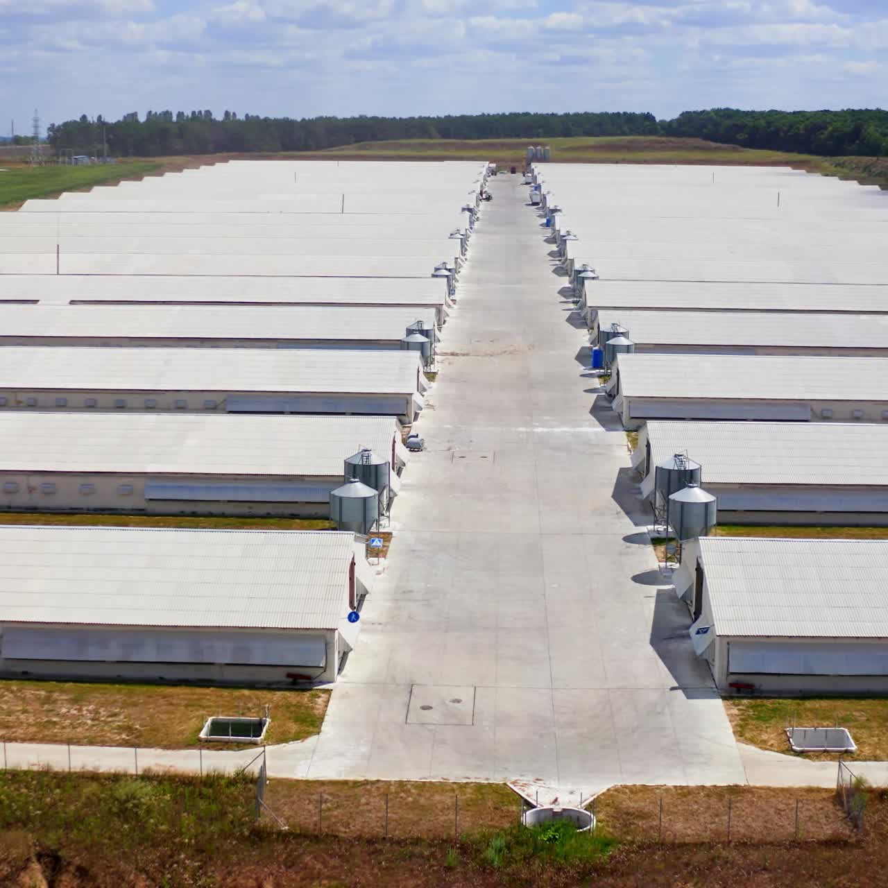 Exterior of livestock farm. Contemporary white farm buildings on field in summer. Agricultural business in the countryside. Slow flight