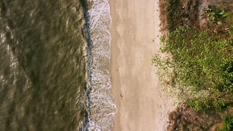 Aerial-view-of-dirty-shore-sea-problem-environmental