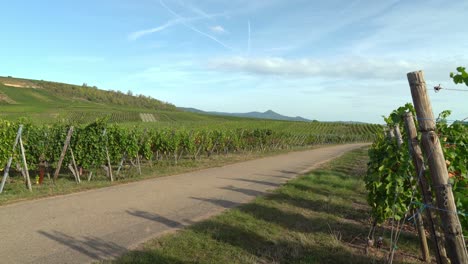 Road-Leading-to-Hunawihr-Outskirts-in-Eastern-France