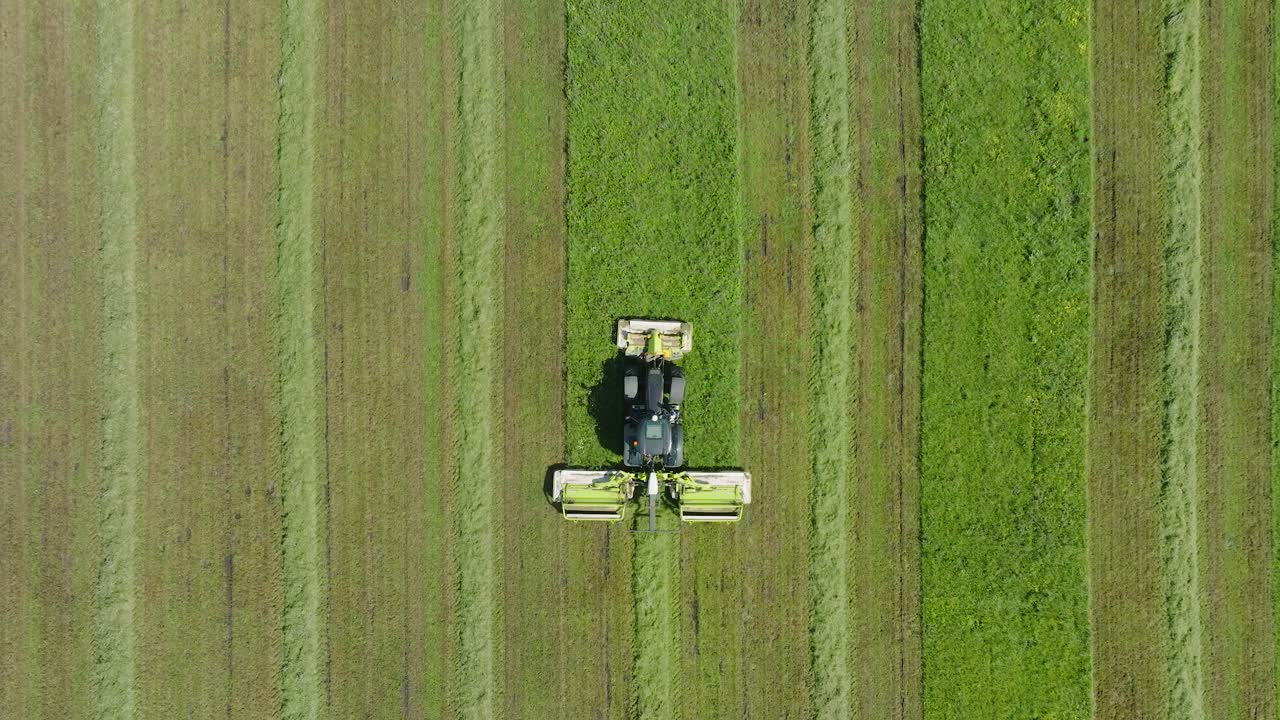 신선한 초록 잔디 ⁇ 을  ⁇ 는 트랙터의 공중 뷰, 현대 트랙터에서 농부 가축을 위해 음식을 준비하는,  ⁇ 은 여름 날, 올라오는 새 눈 드론  ⁇ 이 앞으로 이동