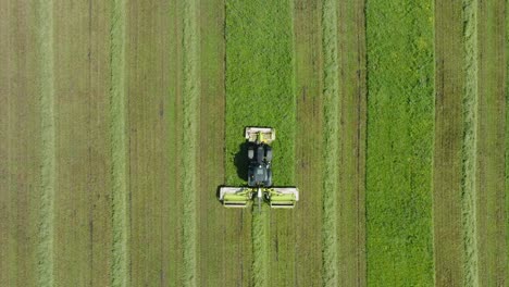 vista aérea de un tractor cortando un campo de hierba verde fresco, un agricultor en un tractor moderno preparando comida para animales de granja, un soleado día de verano, un drone de ojo de pájaro ascendente que avanza