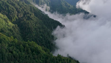 beauty of nepal’s sailung dolakha, as clouds flood gracefully over lush green hill forests drone shot captures the peaceful landscape of pine-covered hills, showcaing nepal’s natural elegance