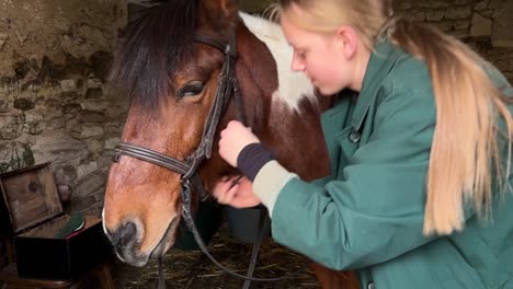 Girl-attaching-a-bridle-on-her-Pony