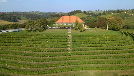 Ein-Wunderschönes-Weinhäuschen-In-Der-Slowenischen-Landschaft