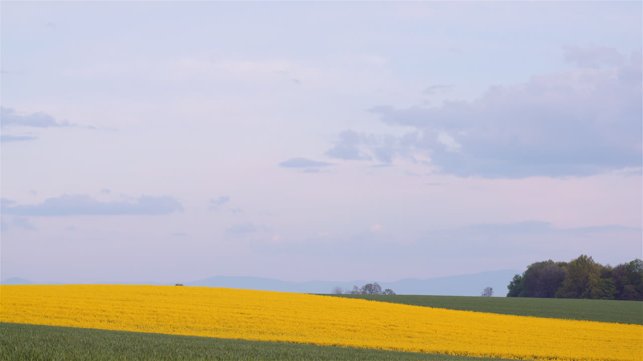 Time-Lapse of Clouds Over Yellow Rape Blossoms