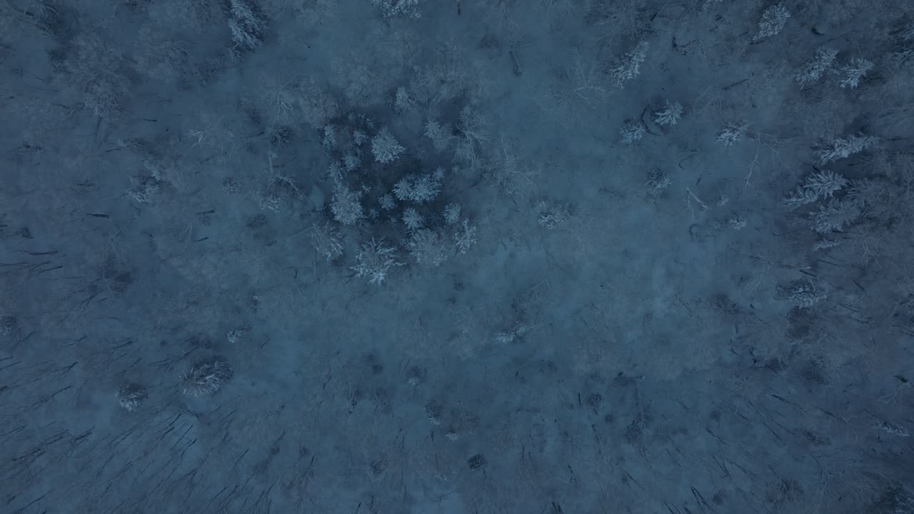 겨울에 캐나다 남부 퀘벡의 산악 풍경에 흰 서리가 있는 침엽수 나무의 최고 전망