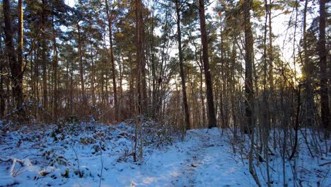 Perspectiva-Personal-De-Un-Excursionista-Caminando-Por-Un-Sendero-En-Un-Bosque-Durante-El-Invierno-Mientras-El-Sol-Se-Asoma-Entre-Los-árboles