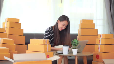 selling online concept happy asian woman checking orders in her online shop with laptop with room full of boxes, slow motion full frame