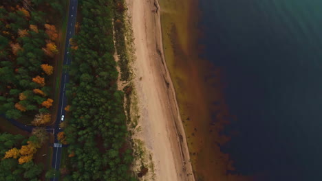 Aerial-view-of-road-between-green-and-yellow-forest-and-blue-lake,-top-down-tilt-up-shot