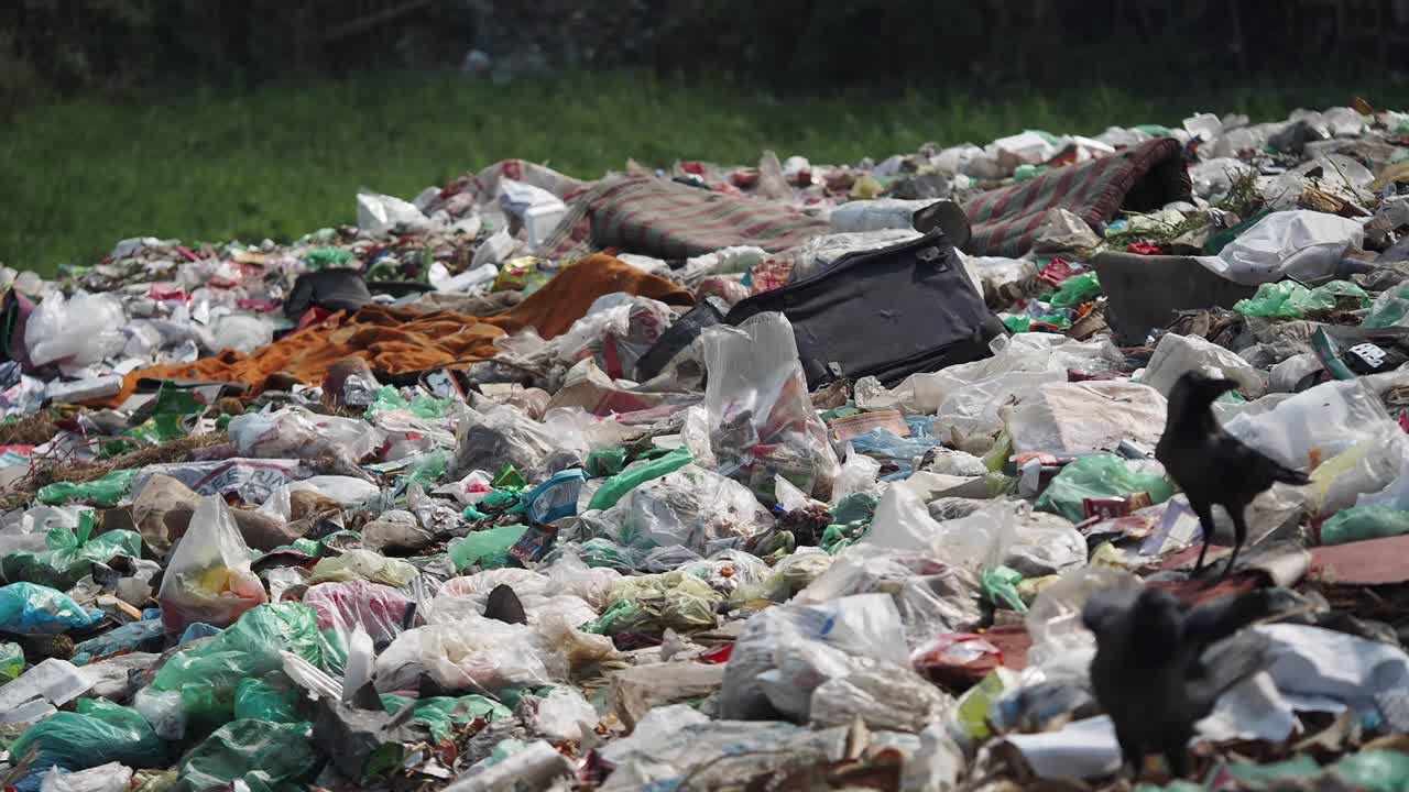 Dump Site with Mixed Trash