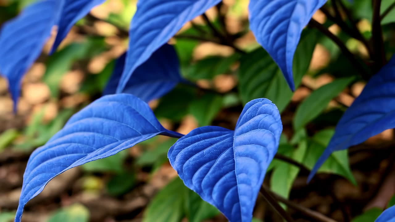 Vibrant Blue Leaves Among Green Foliage