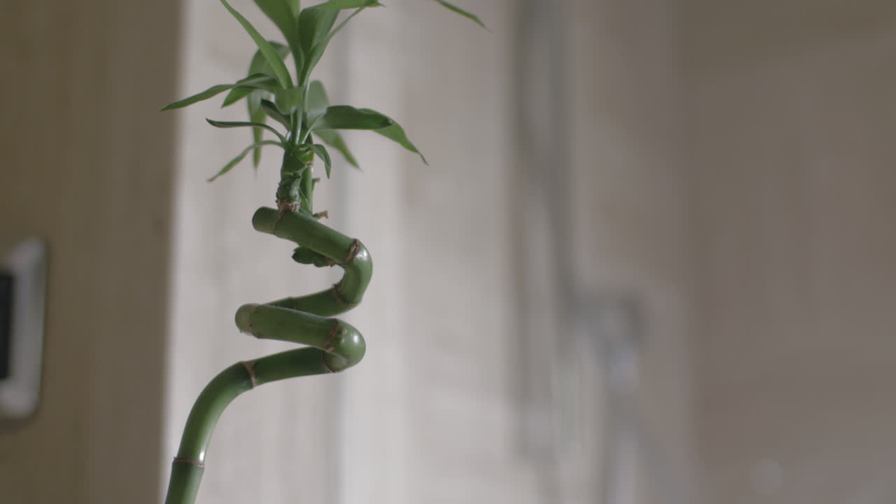 помещение мыла и полотенца в гостиничную ванную