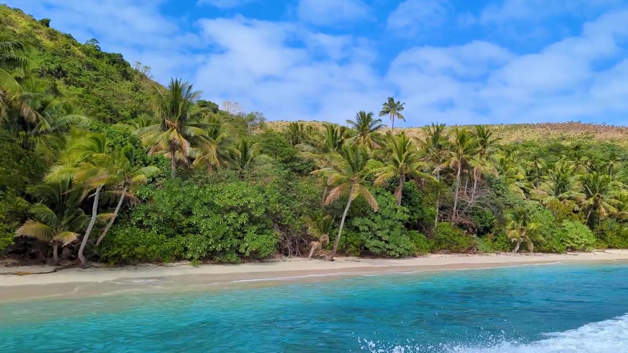 Costa idilliaca sull'isola tropicale di Kadavu nelle Fiji, Pacifico meridionale, fiancheggiata da palme da cocco, spiagge di sabbia bianca e acque cristalline turchesi dell'oceano