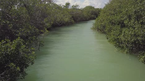 channel through the mangroves