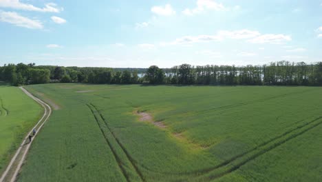 vista aérea panorámica de un vasto campo verde, un camino de tierra que atraviesa, y árboles exuberantes que bordean el horizonte bajo un cielo azul brillante con nubes blancas