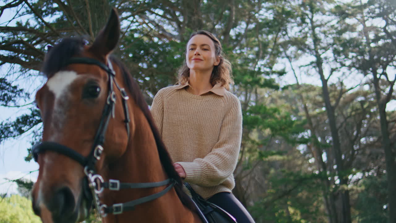 Woman enjoy horseback riding with companion on sunny park summer day closeup