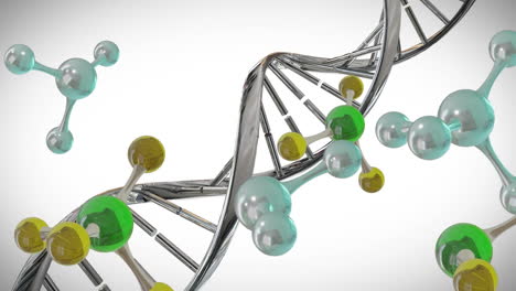 animación de micro 3d de moléculas y cadena de adn en fondo blanco