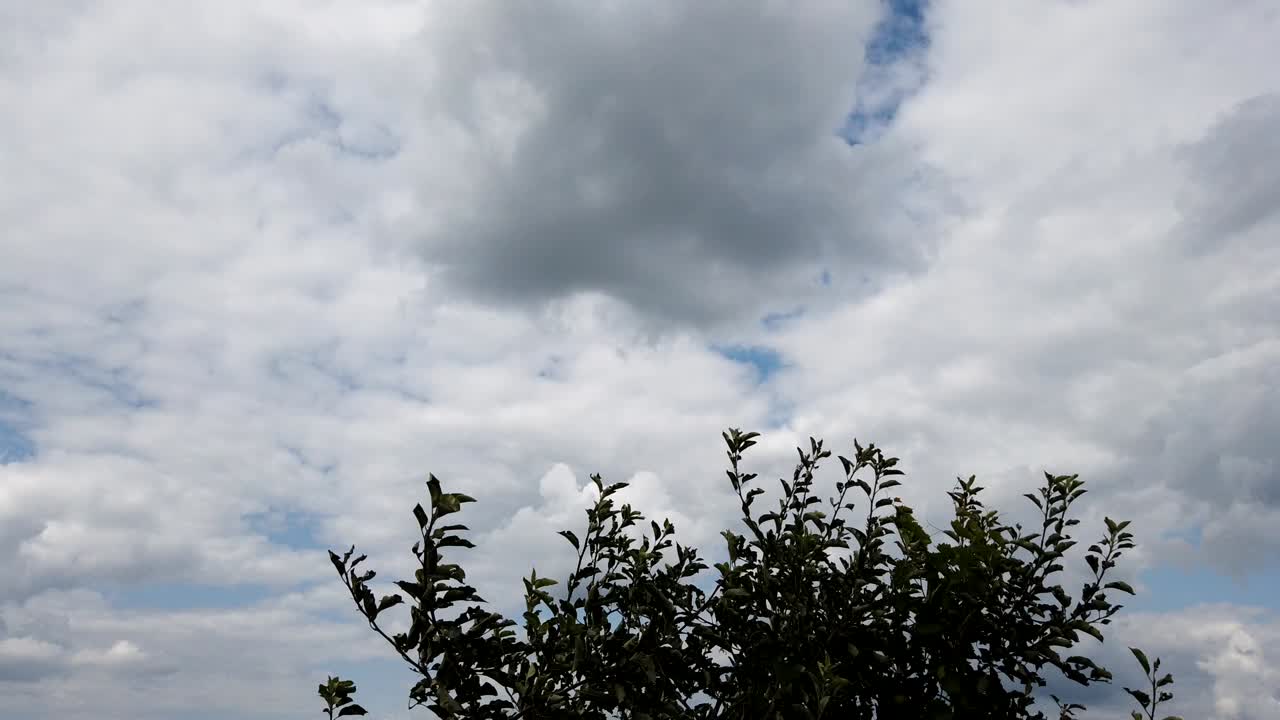 흐린 날의 타임랩스