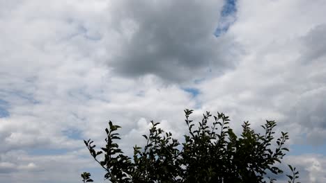 Timelapse-on-a-cloudy-day