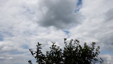 lapso de tiempo en un día nublado