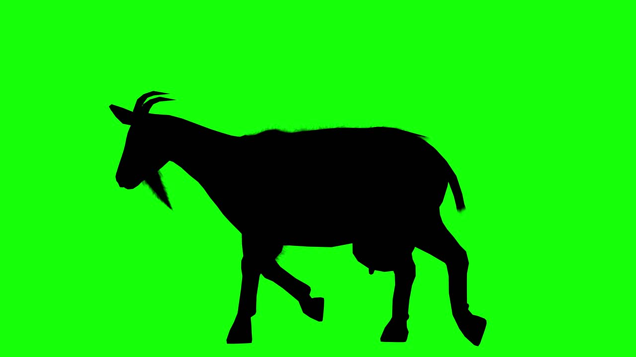 Silhouette di una capra che cammina su schermo verde, vista laterale.