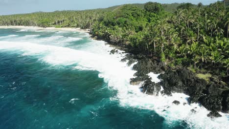 Agua-Turquesa-Y-Olas-Blancas-Aplastando-La-Costa-Rocosa,-Palmeras-Arriba