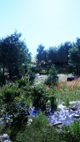 a beautiful stream running through a lush forest