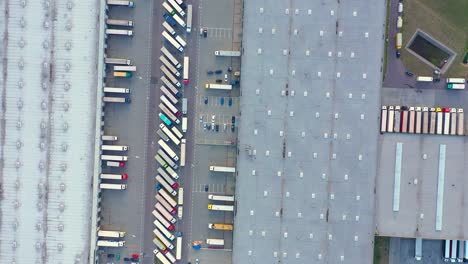 semi truck with cargo trailer is travelling on a parking lot along a warehouse of a logistics park