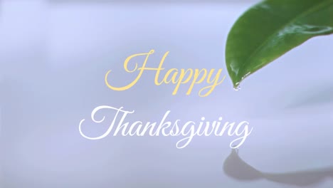Animation-Eines-Fröhlichen-Thanksgiving-Textes-über-Blatt