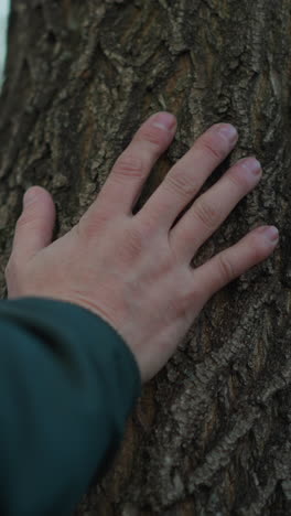 un primer plano de la mano de un hombre tocando la corteza de un árbol, el hombre lleva una chaqueta verde, y el fondo está suavemente borroso