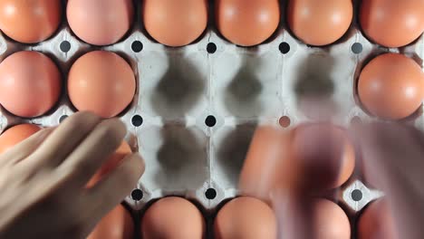 selection of egg quality and fresh from the farm.