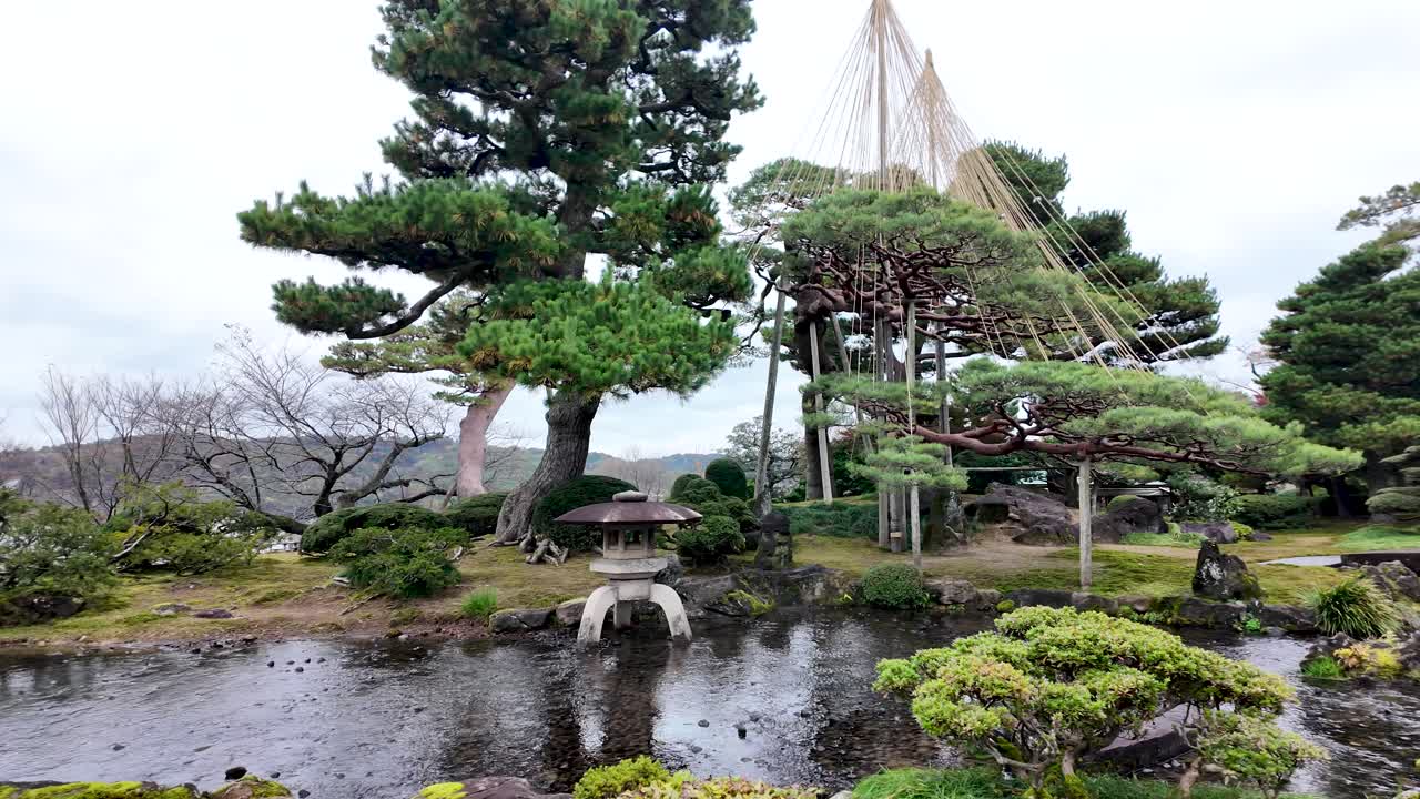 Traditional japanese garden Kenrokuen with stone lantern, pond and yukitsuri ropes protecting pine trees during winter. slow pan right
