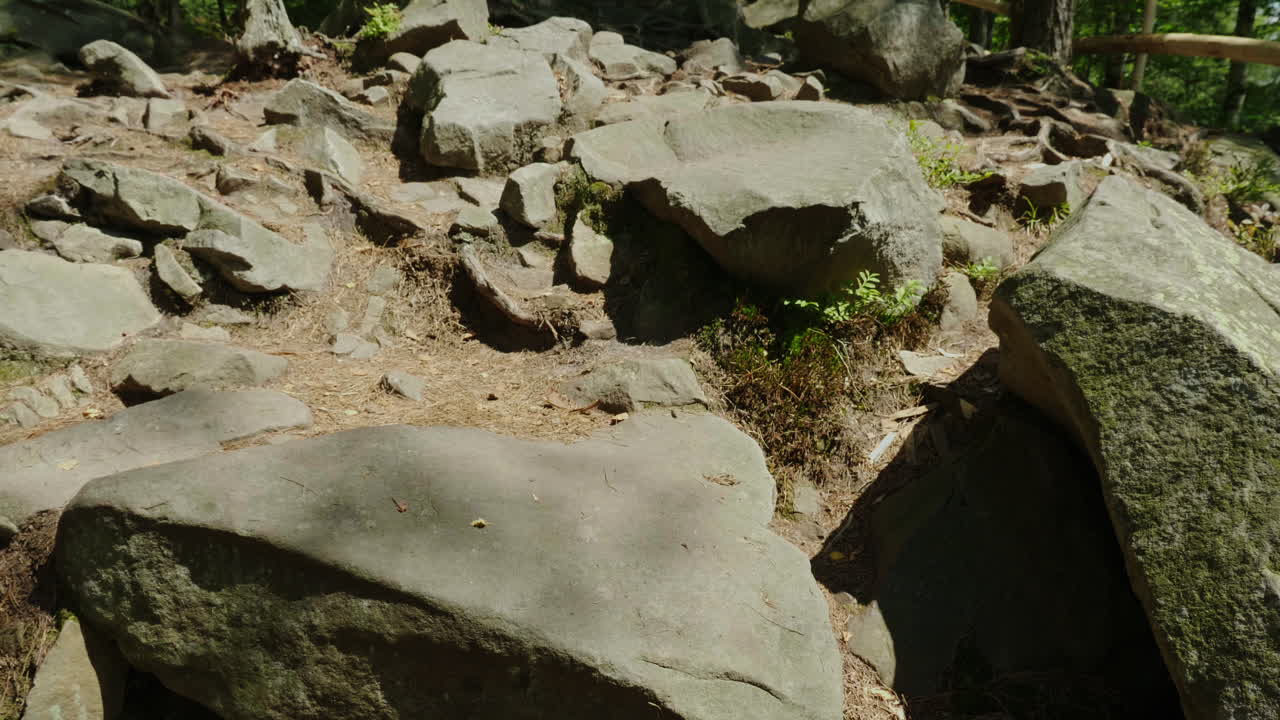 나무 뿌리를 따라 산길을 걷는 남자의 다리