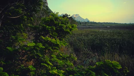 Magical-view-from-a-lookout-tower-of-a-marsh-in-a-national-park-in-Thailand-with-mountains-in-the-background