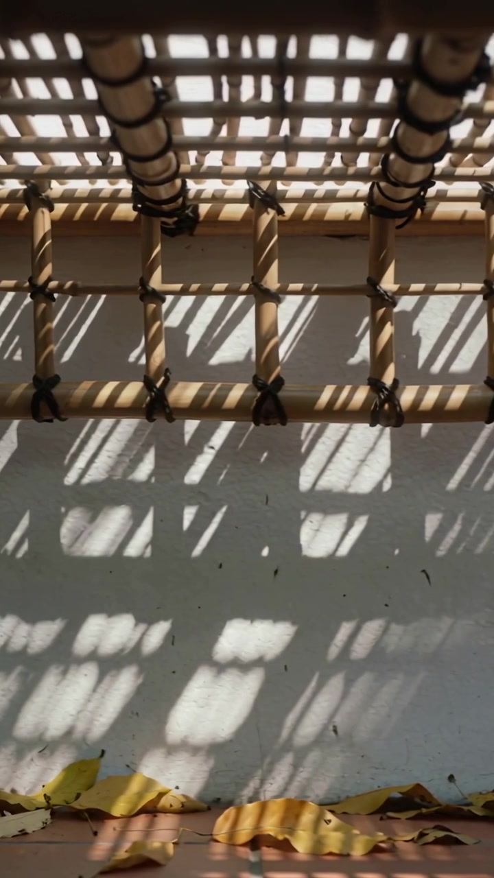 Video verticale: Panoramica della telecamera che mostra un traliccio di bambù che proietta ombre su una parete bianca, con foglie gialle.