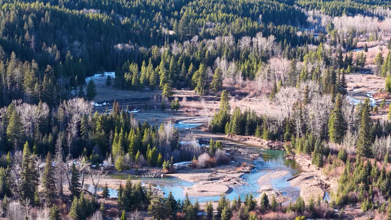 Vista aerea con drone di un fiume turchese tortuoso che scorre attraverso una fitta valle di foresta sempreverde nel Montana, con sponde rocciose e acqua blu limpida.