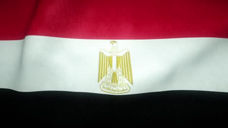 flag of egypt waving in the wind