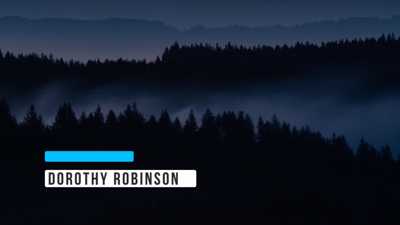 Misty Forest Landscape