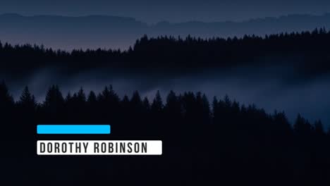 misty forest landscape